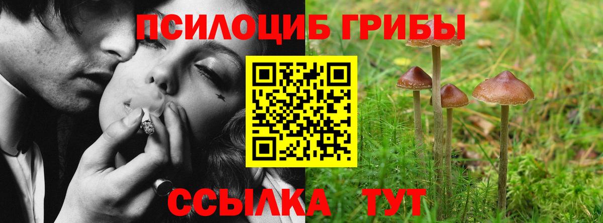 Псилоцибиновые грибы мицелий Шали
